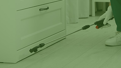 Residential Pest Control